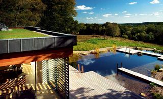 Natural swimming pond in grounds of New Forest self build