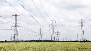 Electricity pylons and corn fields