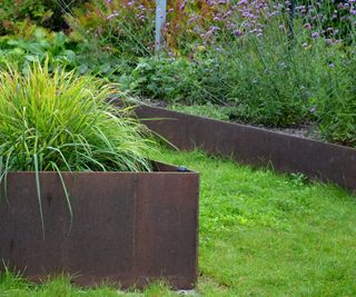 Metal raised beds with a rust patina and lots of lush shrub planting