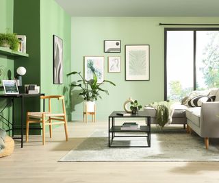 colour drenched green living room with desk and chair in alcove